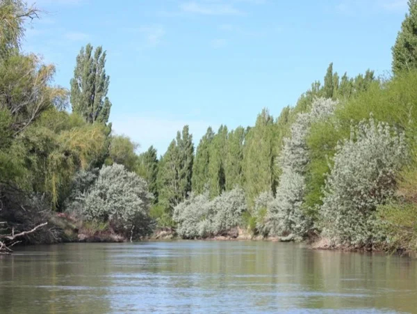 Gaiman: the little Wales in Patagonia