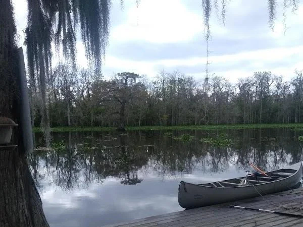 Local Swamp Paddle Tour