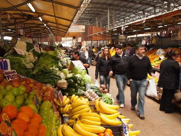 Highlights of Temuco - Araucania