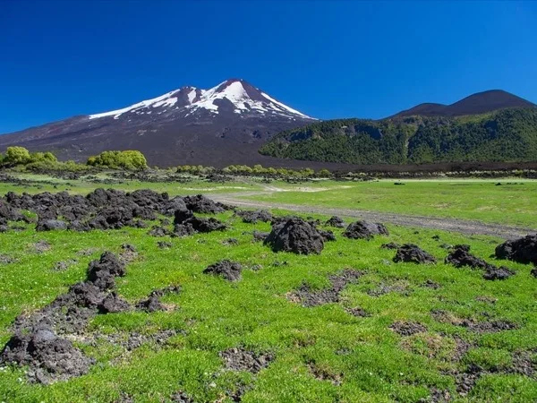 Day trip Conguillio National Park from Temuco