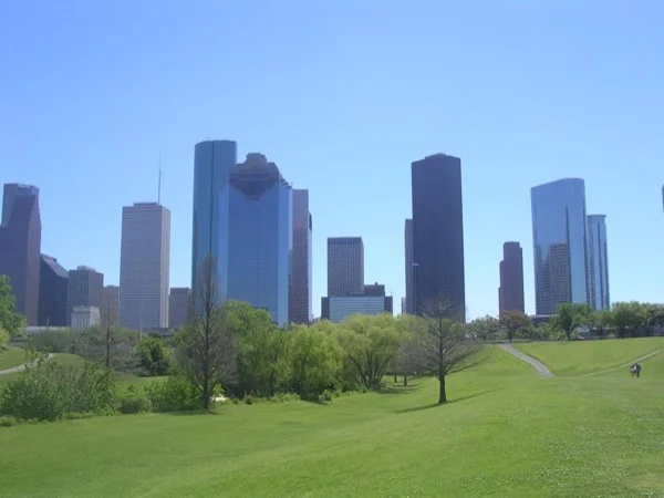 Cover media image