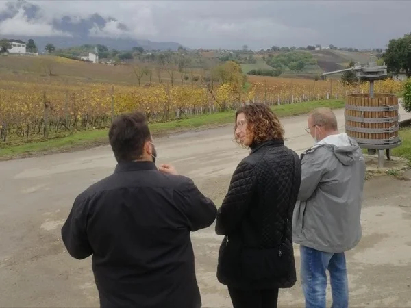 Irpinia Wine Tour and Tasting