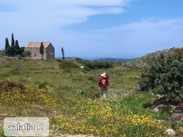 Chios "Hikking between two mastic villages"