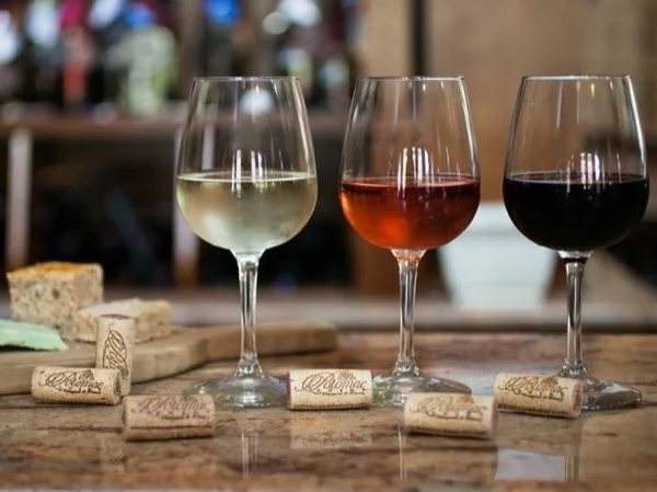 Day trip to Slanic Prahova Salt Mine and wine tasting with a private guide