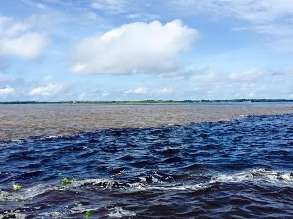 Manaus City Tour plus River Tour