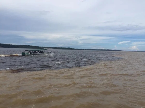 Amazon half day river tour