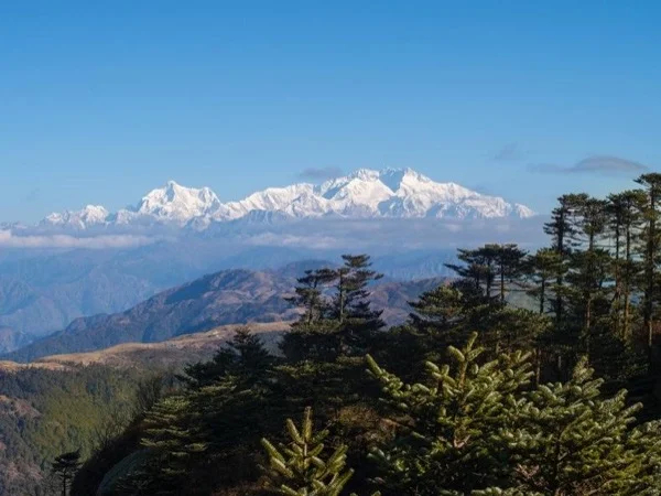 Singalila National Park, Multi days Ridge Trek - Darjeeling