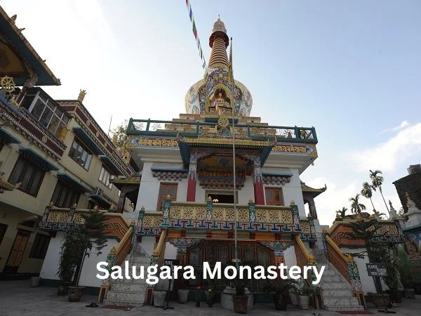 Siliguri Day tour.