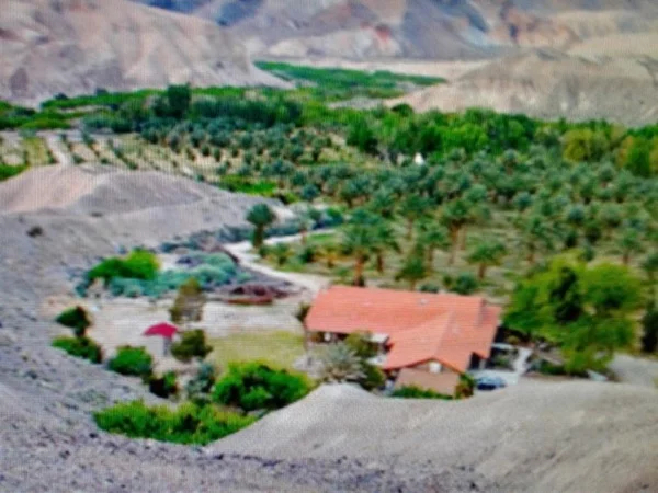 China Ranch Date Farm-Amargosa Valley-Vineyard in Pahrump