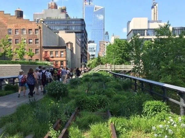 High Line and Hudson Yards Walking Tour in NYC