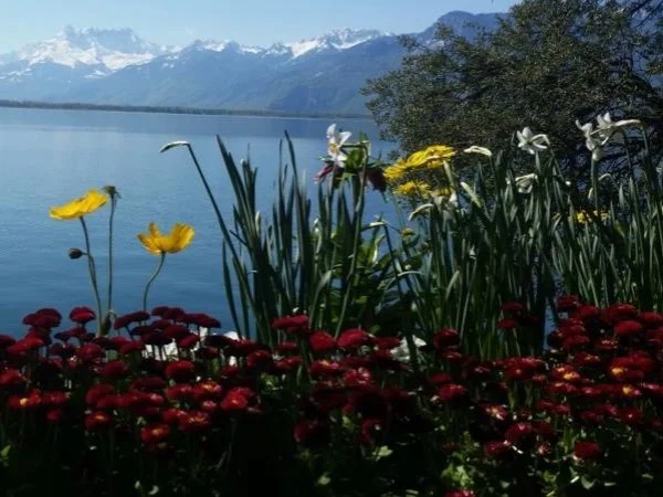 Private Montreux City Tour