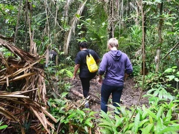 Balikpapan Jungle & Mangrove Full Day Tour