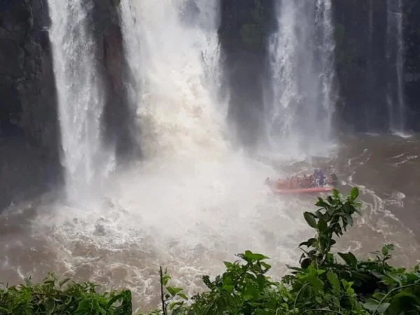 Explore Highlights of Iguazu National Park