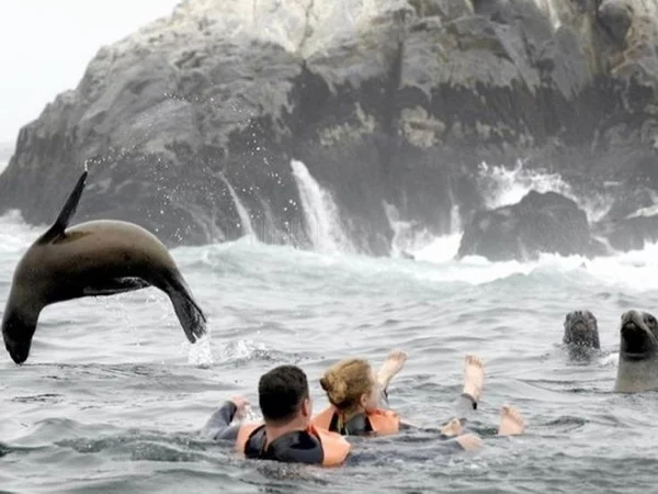 Callao: The Sea Lion Adventure and History (for 2 travelers)