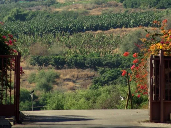One day Galilee