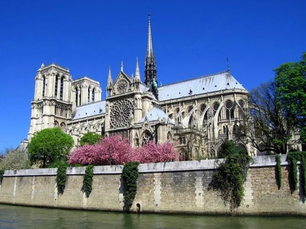Cover media image