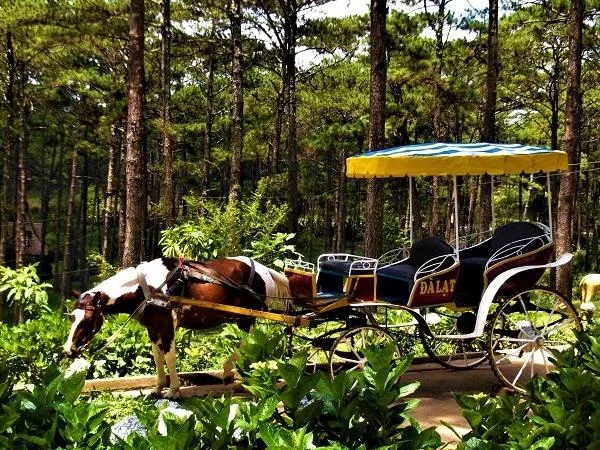 Dalat and Mui Ne Tour to Saigon