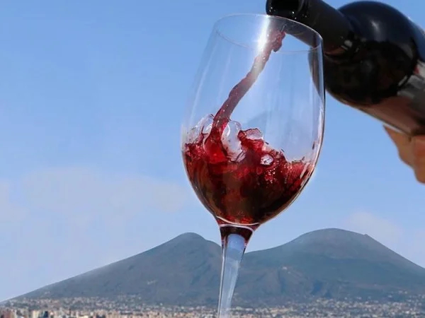 Pompei and Wine Tasting from Napoli