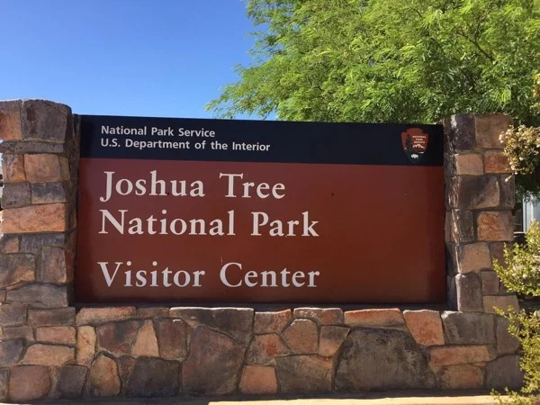 Joshua Tree National Park Day Trip From Los Angeles