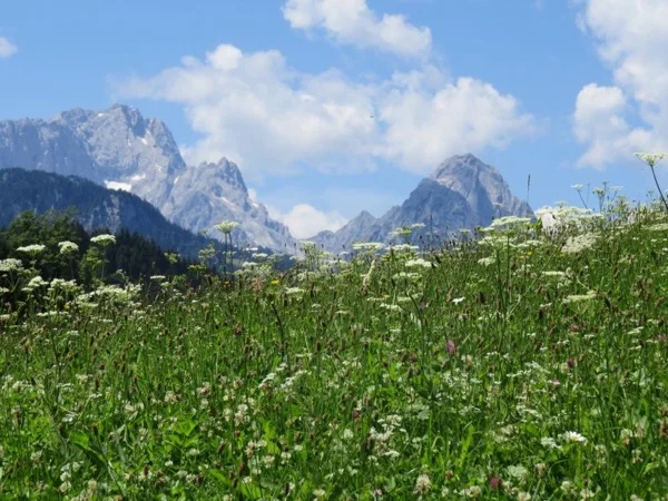 Garmisch Partnachklamm - Day Trip from Munich