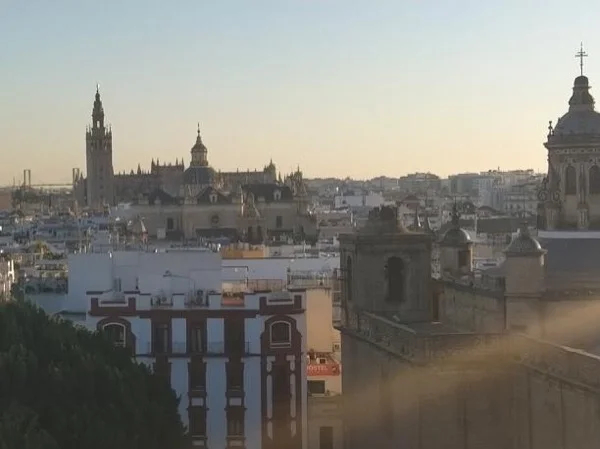 Cathedral & Alcázar Half Day Tour