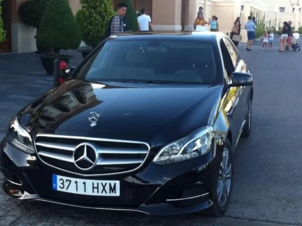 Panoramic tour of Madrid with a local guide and private driver and vehicle!