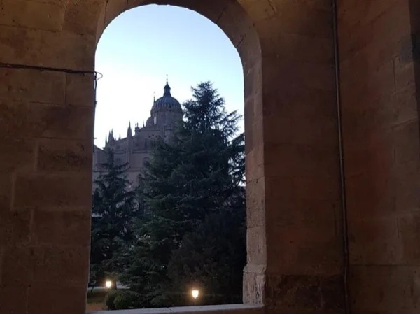 Salamanca city tour: must see venues