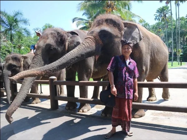 Amazing Waterfall and Ubud Full Day Tour
