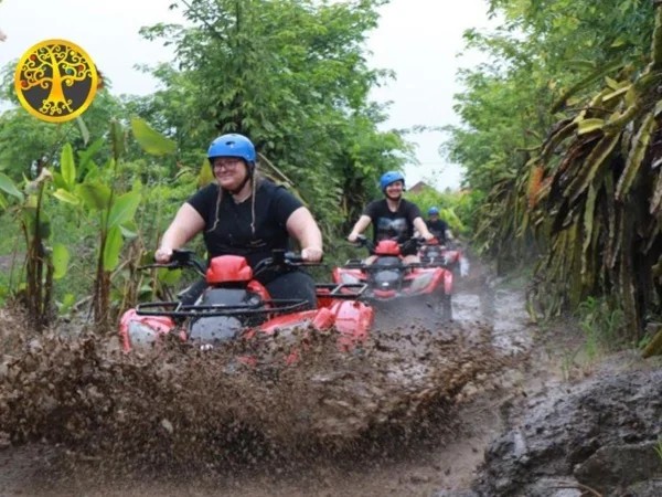 Bali Quad Bike Adventures and Chasing exotic Waterfall Tours