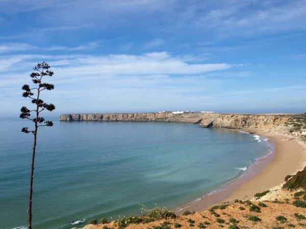 Cover media image