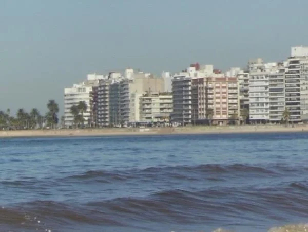 Montevideo Half Day City Shore Excursion Tour