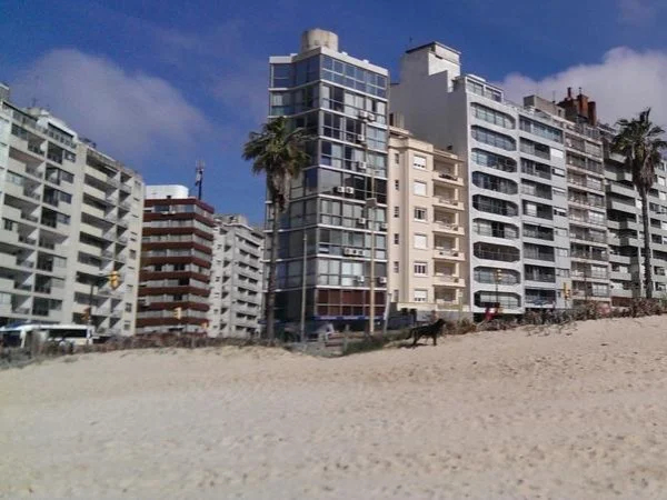 5 hours exploring the best of amazing Montevideo City in a Full Day Shore Excursion Tour