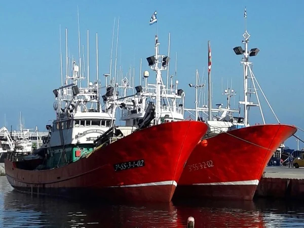 Cover media image