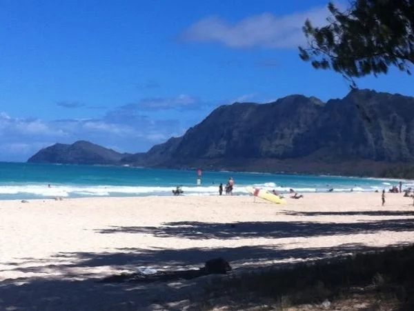 East Oahu Half-day Circle Drive Tour