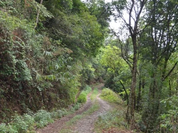 Shivapuri Private Hiking Tour