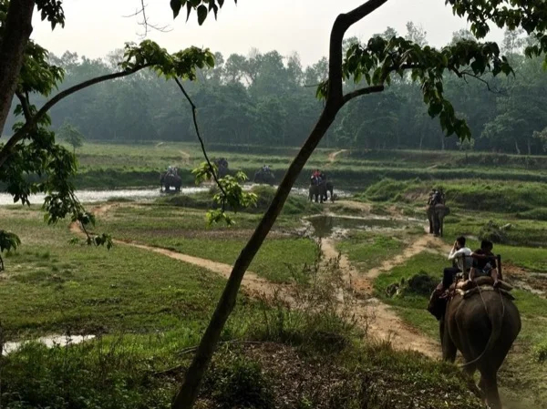 Kathmandu & Chitwan National Park Private Tour