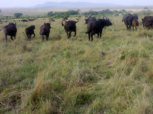 Kora National Park, 4 days