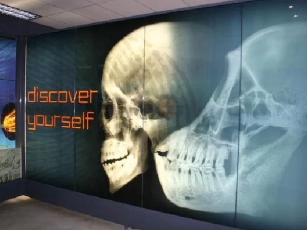 Cover media image