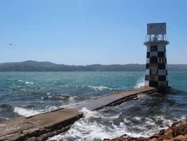 Wellington Round the Bays Photographic Private Tour
