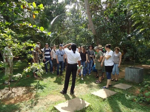 Cover media image