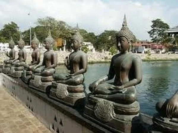 Cover media image