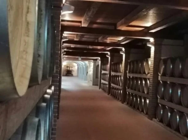 Cagliari, Wine and Local Products Tasting