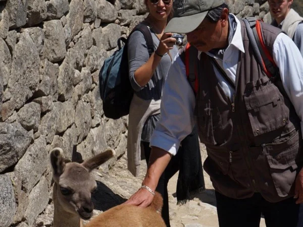 Full-Day Cusco City Tour