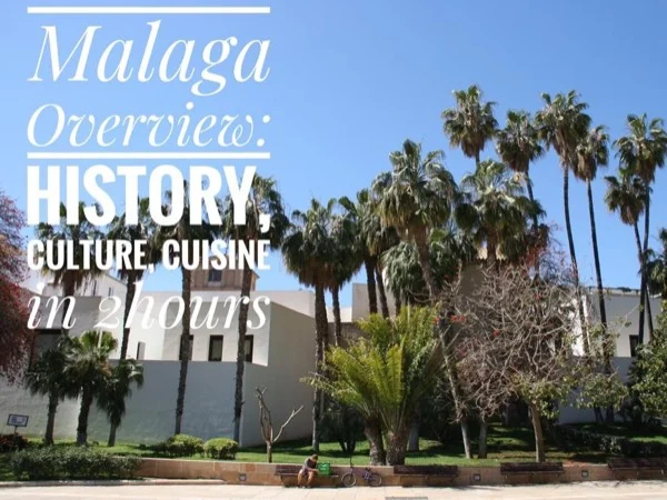 Malaga Overview Private Walking Tour 2 hours