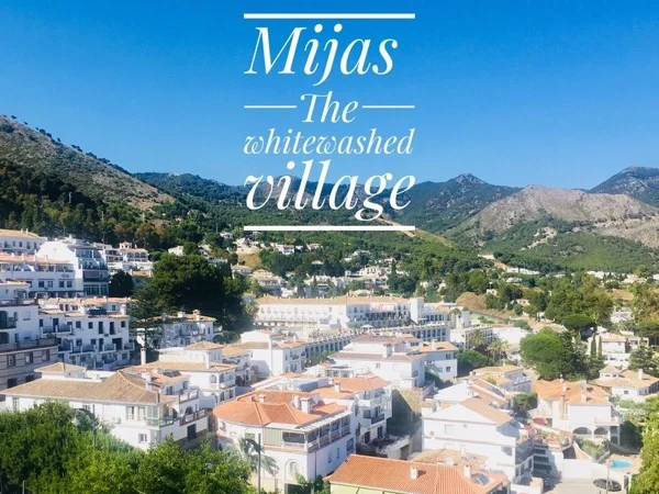 Cover media image