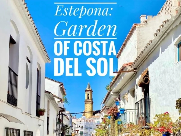 Cover media image