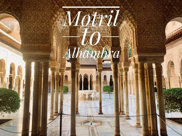 Cover media image