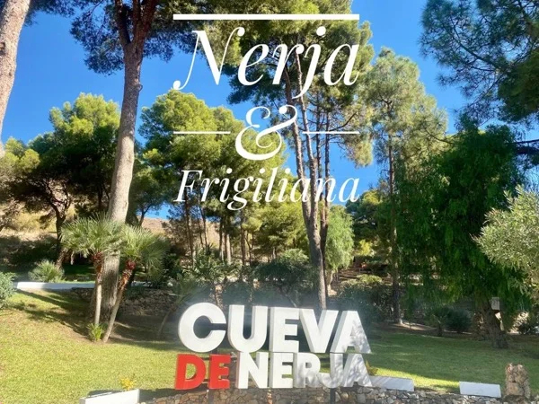 Cover media image