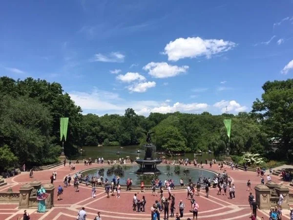 Midtown Manhattan and Central Park Three-Hour Walking Tour