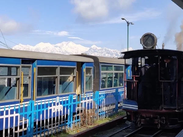 'The Queen of the Hills' Darjeeling, India Full Day Experience
